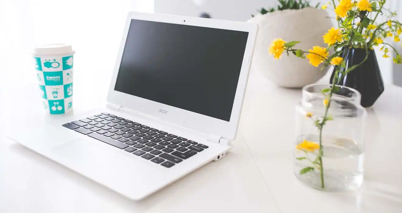 Ремонт ноутбуков Acer в Рязани