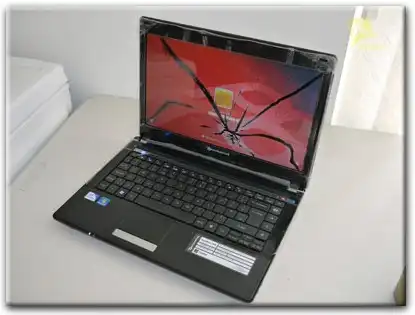 Замена матрицы Packard Bell в Рязани